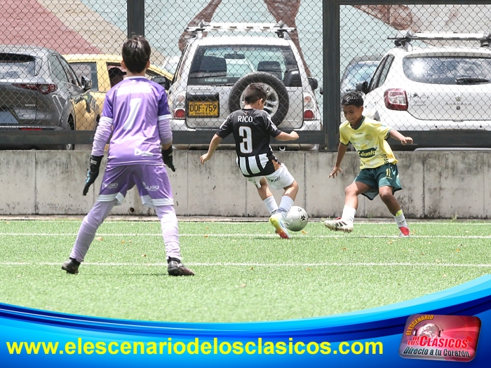Semifinales del Baby en ItagÃ¼Ã­