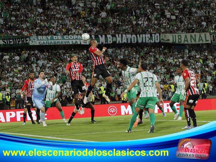 Copa Libertadores 