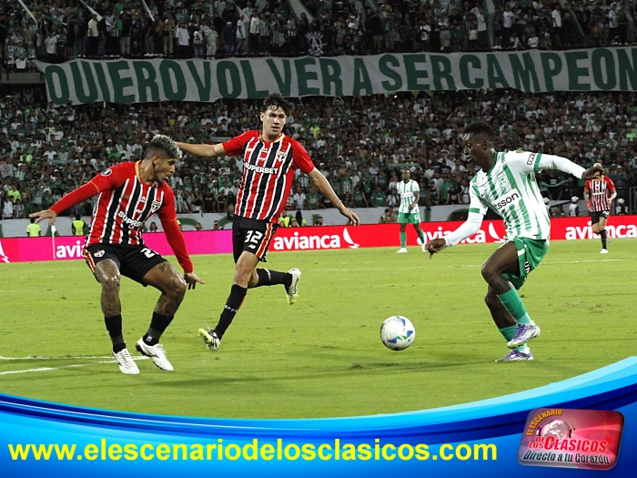 Copa Libertadores 