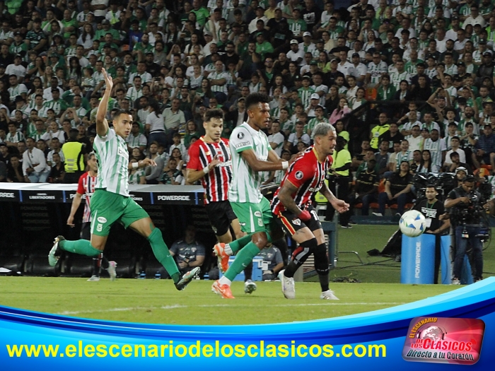 Copa Libertadores 