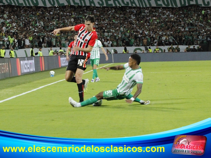 Copa Libertadores 