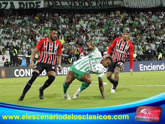 Copa Libertadores 