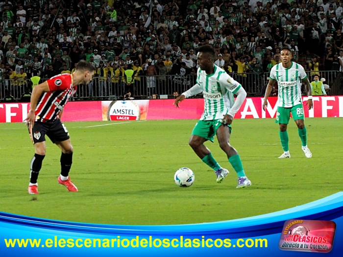 Copa Libertadores 