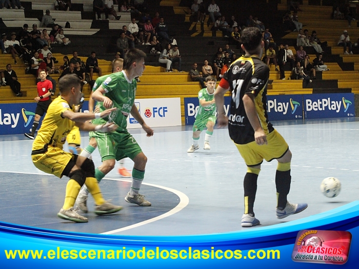Liga Nacional Futsal