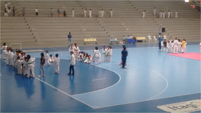 El XI° Festival infantil de Taekwondo se realizó en el Cubo